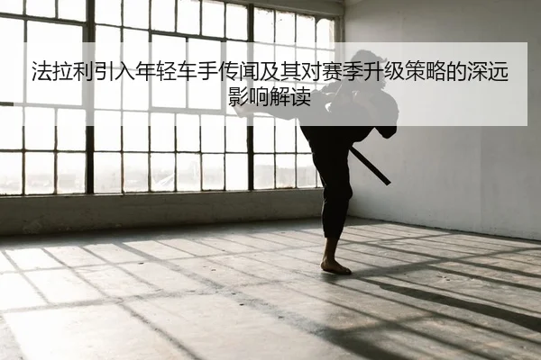 fa-la-li-yin-ru-nian-qing-che-shou-chuan-wen-ji-qi-dui-sai-ji-sheng-ji-ce-lve-de-shen-yuan-ying-xiang-jie-du-2-645.jpg